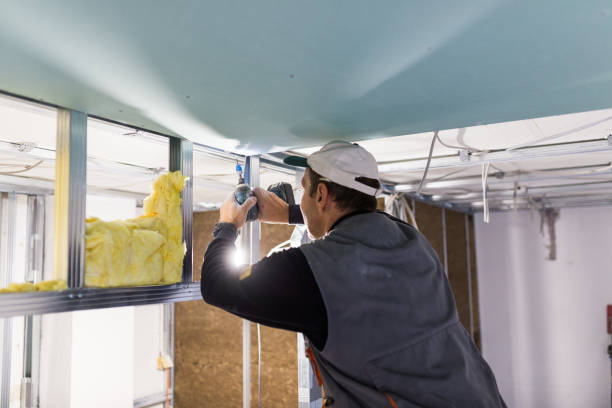 Best Attic Insulation Installation  in Clinton, NY
