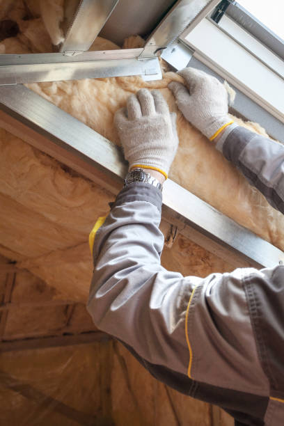 Best Insulation Removal Services  in Clinton, NY