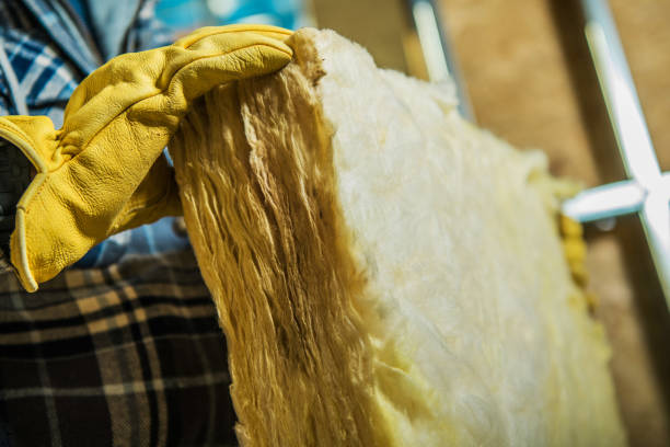 Best Professional Insulation Contractor  in Clinton, NY