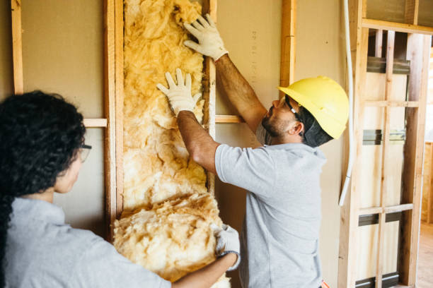 Best Spray Foam Insulation  in Clinton, NY