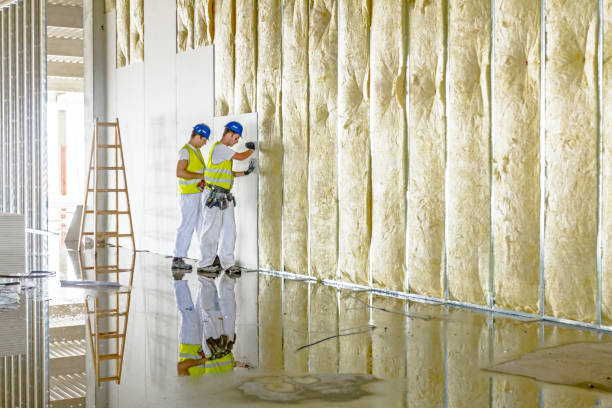 Best Local Insulation Services  in Clinton, NY